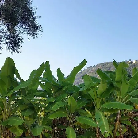 Argo, Feakia Villa Agios Gordios (Corfu)
